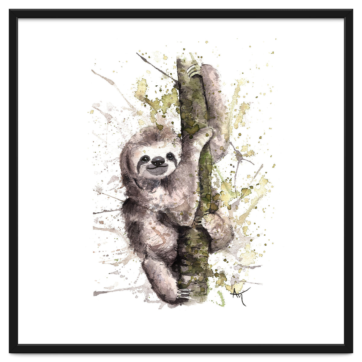 Sloth - Wildlife Collection