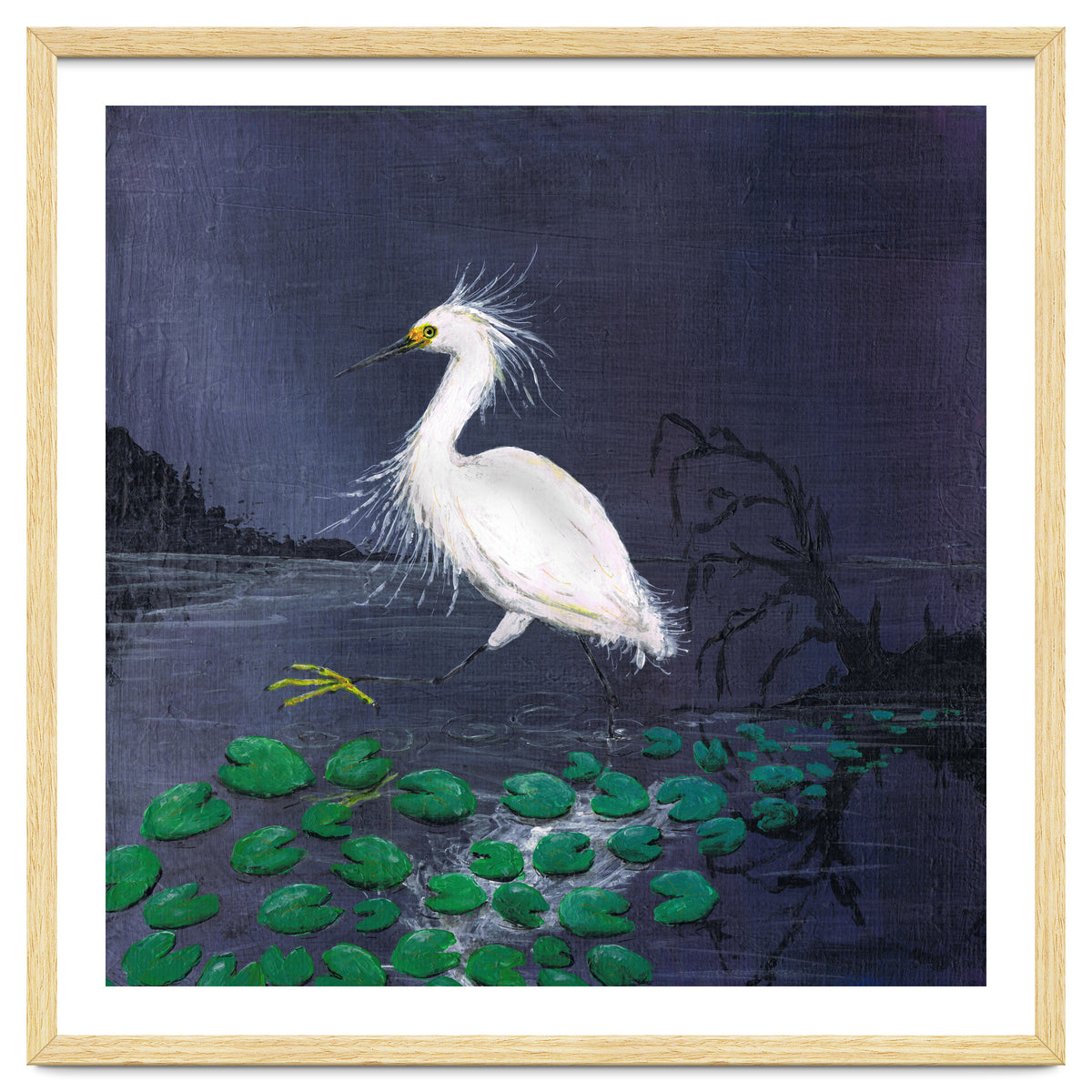 Twilight egret