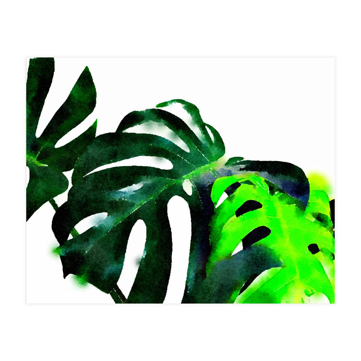Fresh Leaves (Print Only)