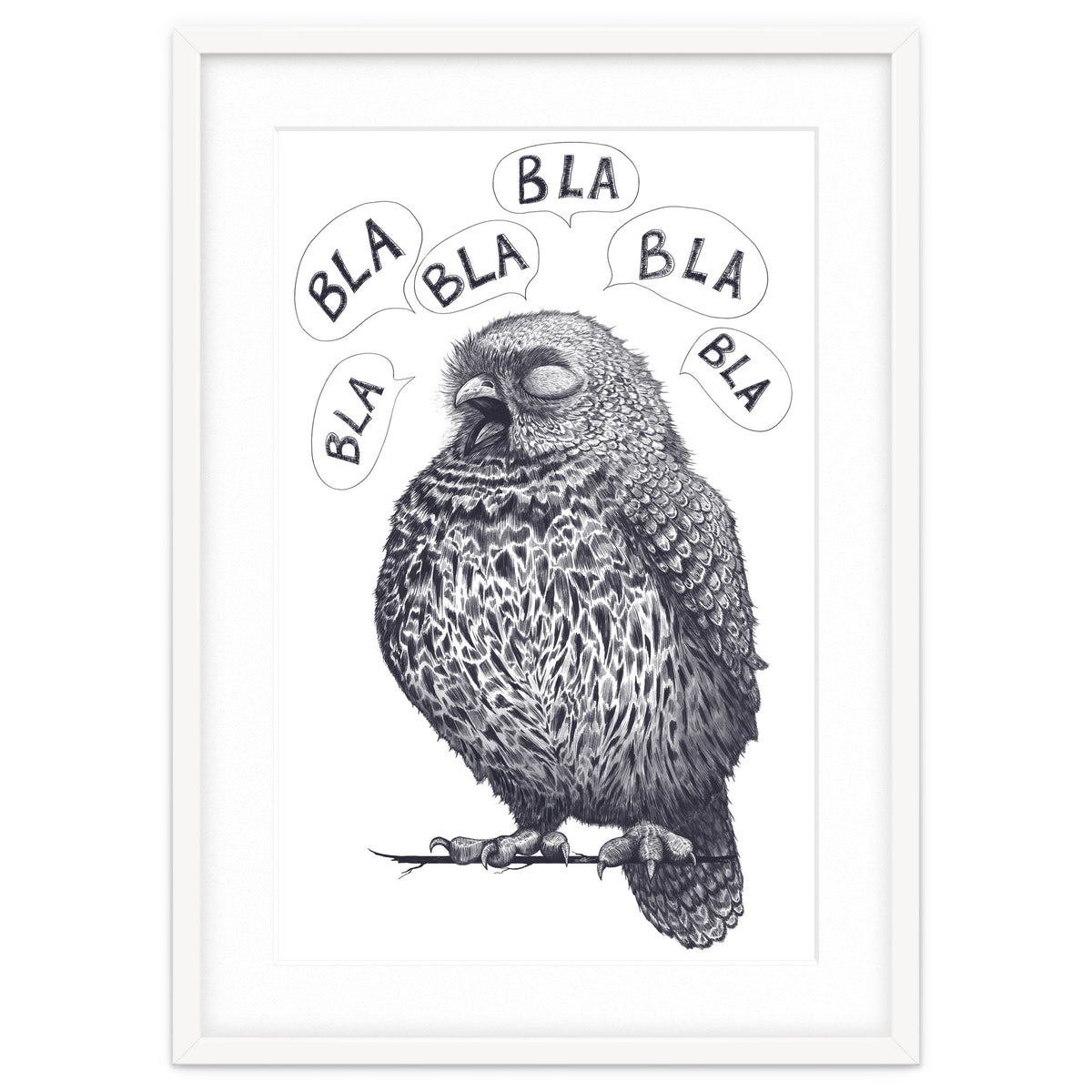 Owl Bla Bla Bla
