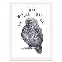 Owl Bla Bla Bla