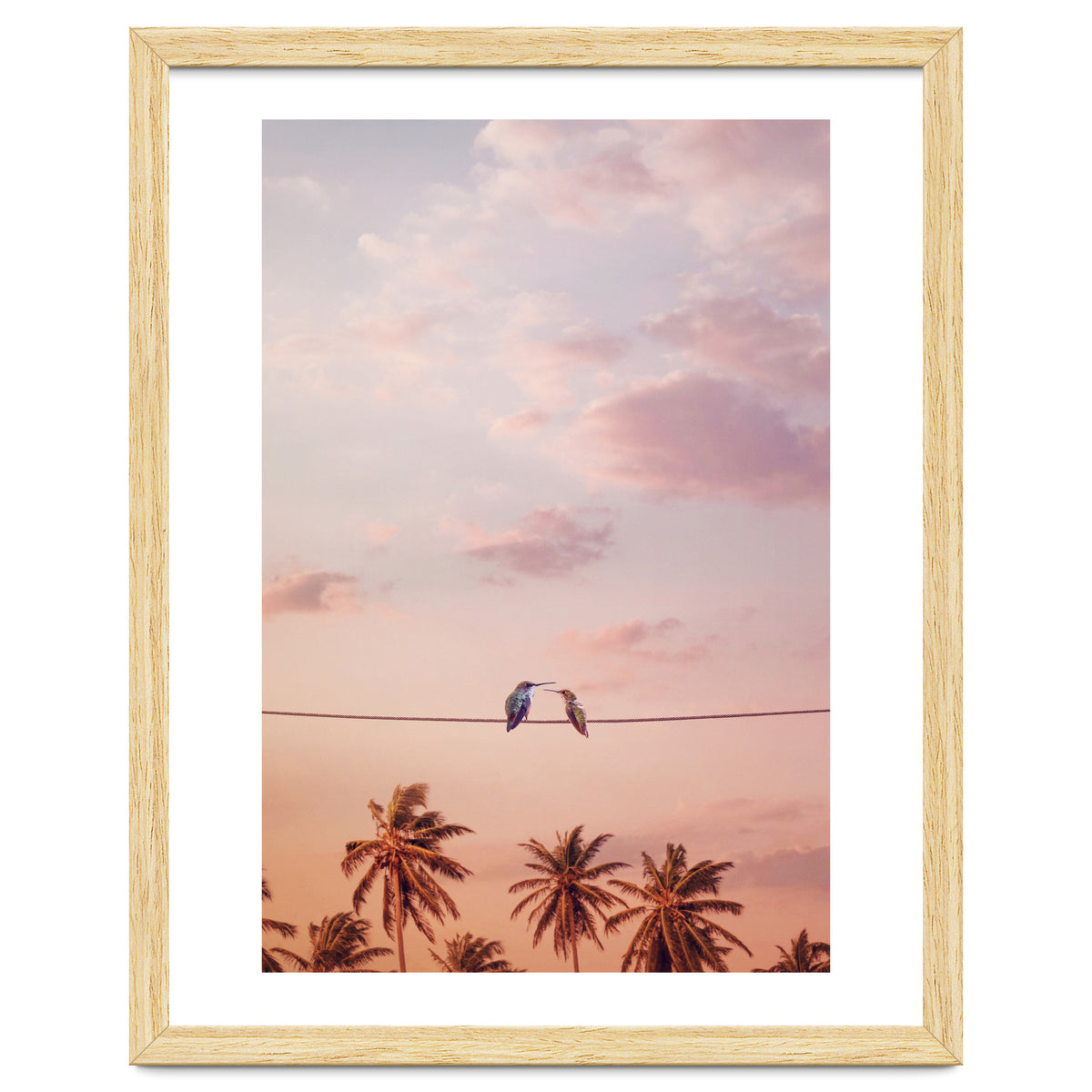 Hummingbirds In Love