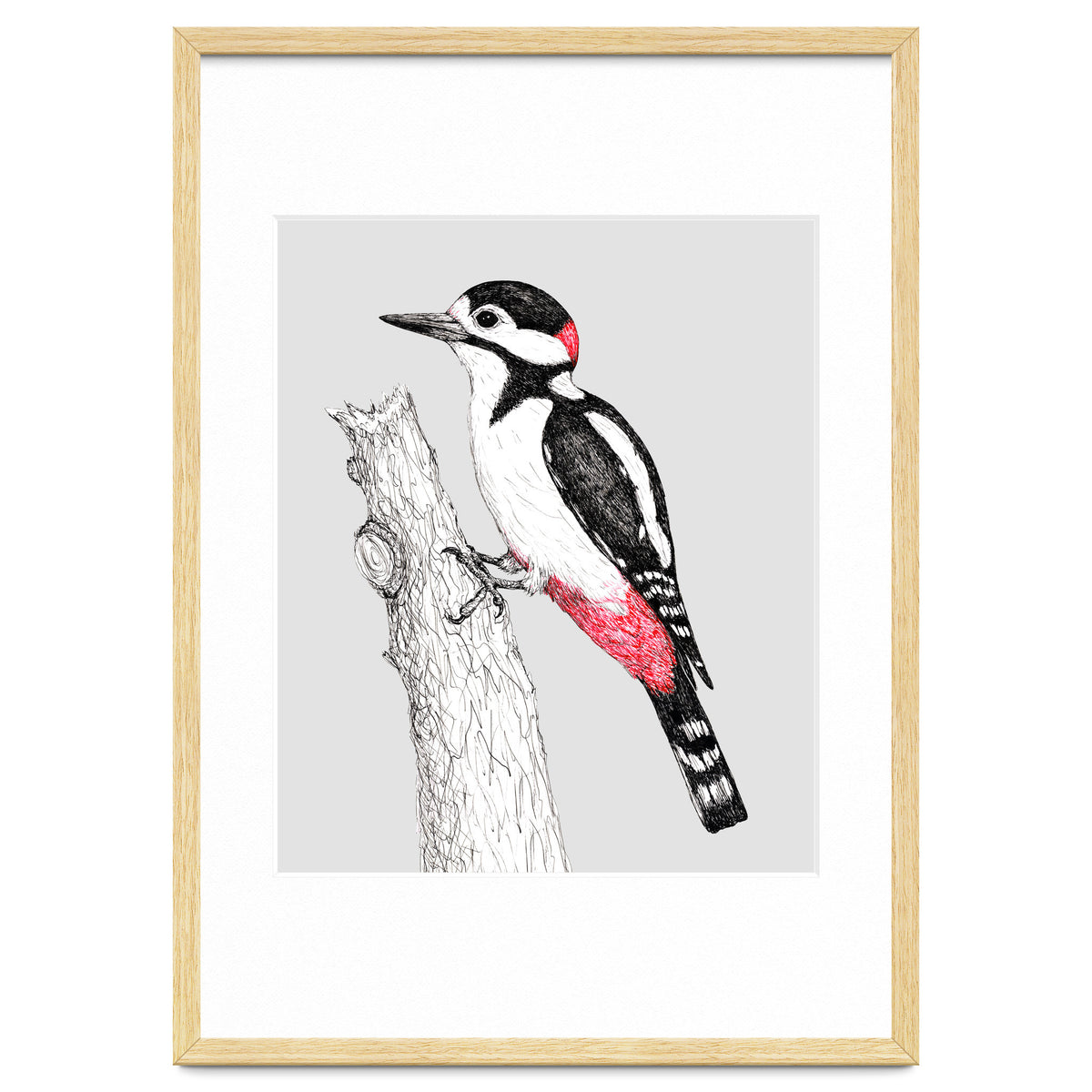 Great spotted woodpecker