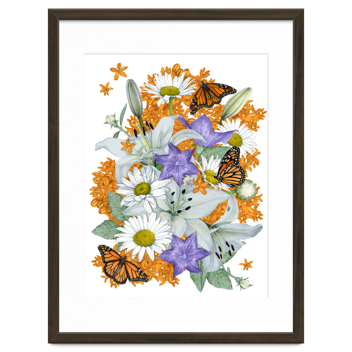 Lillies and Monarchs