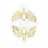 Polillas - Gold (Print Only) thumbnail