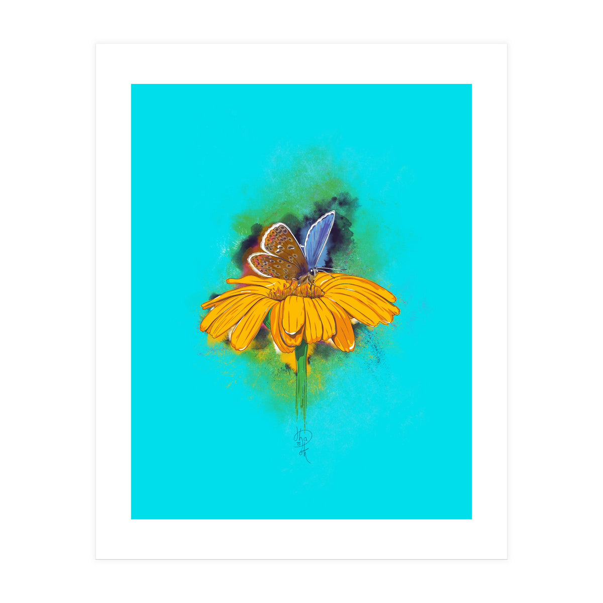 Butterfly 5 (Print Only)