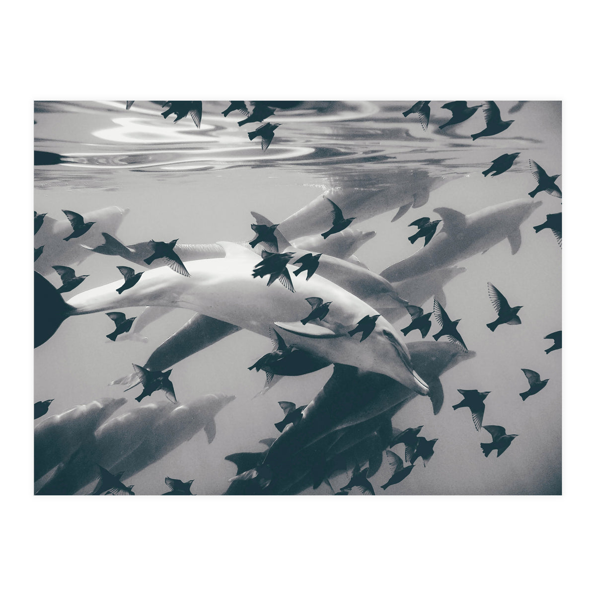 Found Out (Print Only)