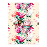 King proteas bloom II (Print Only) thumbnail