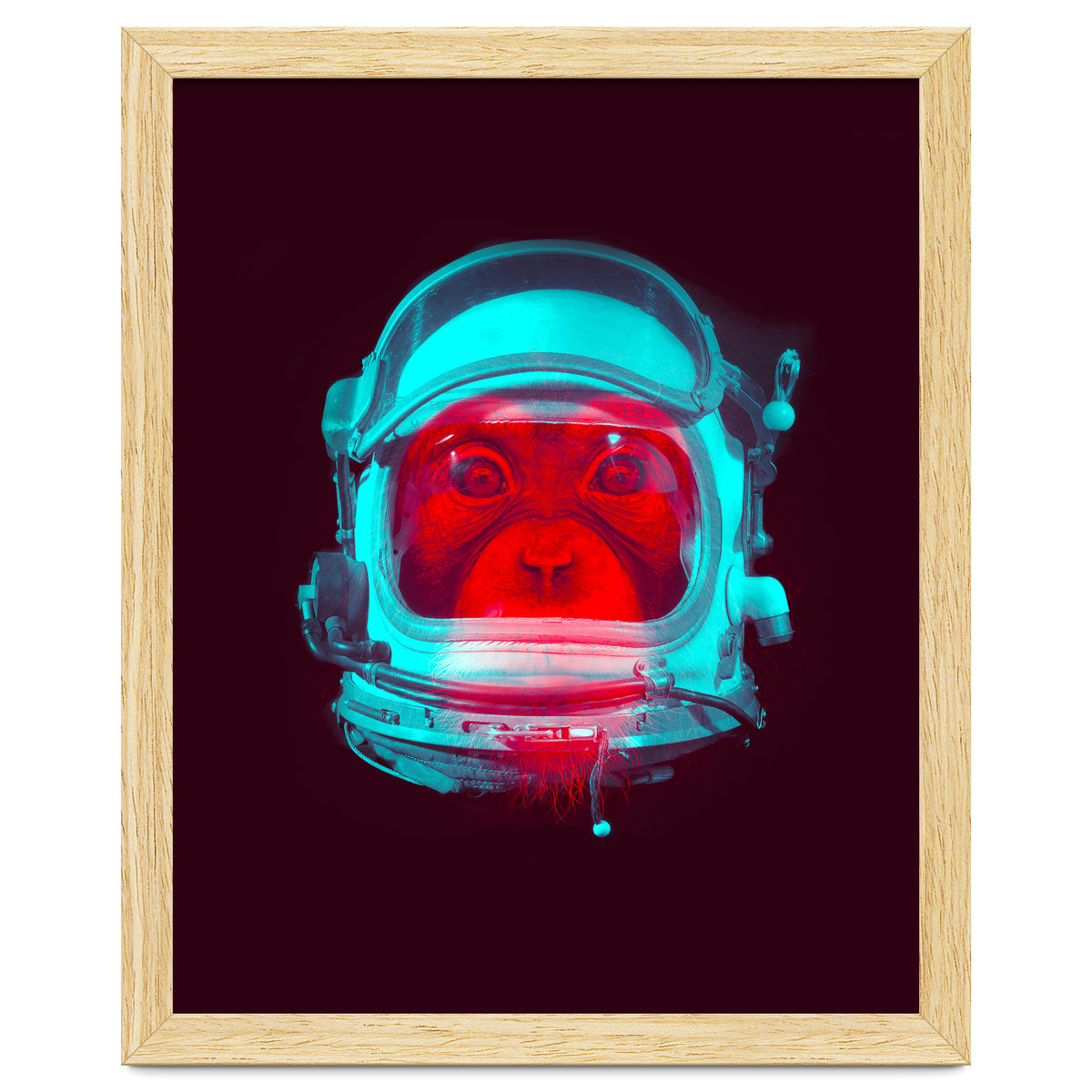 Astronaut