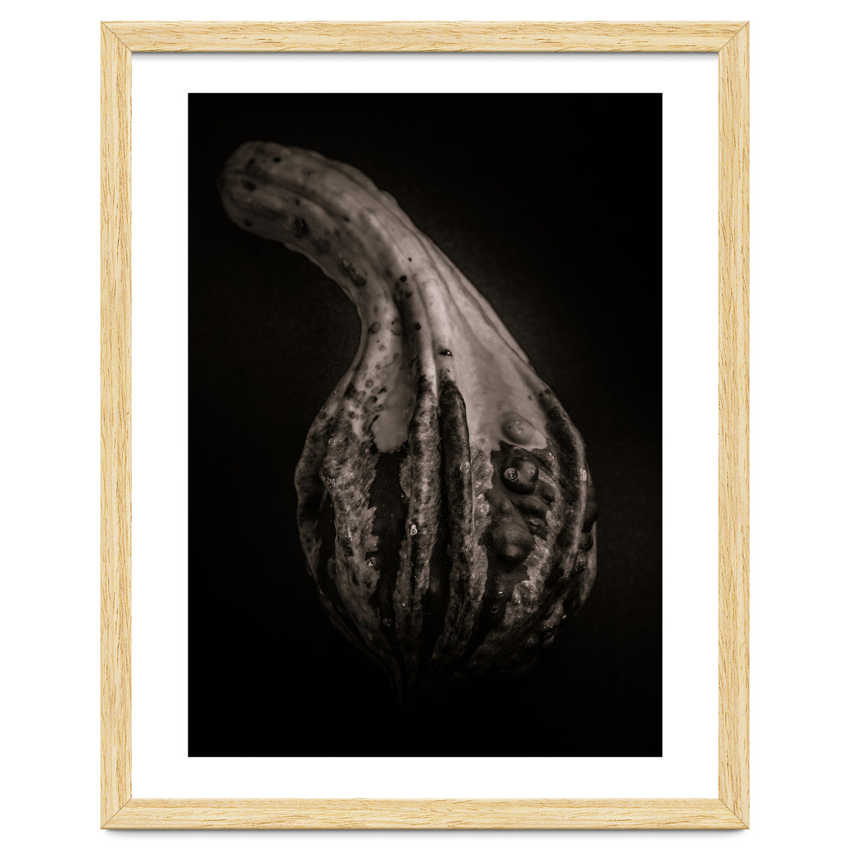 Gourds No 2