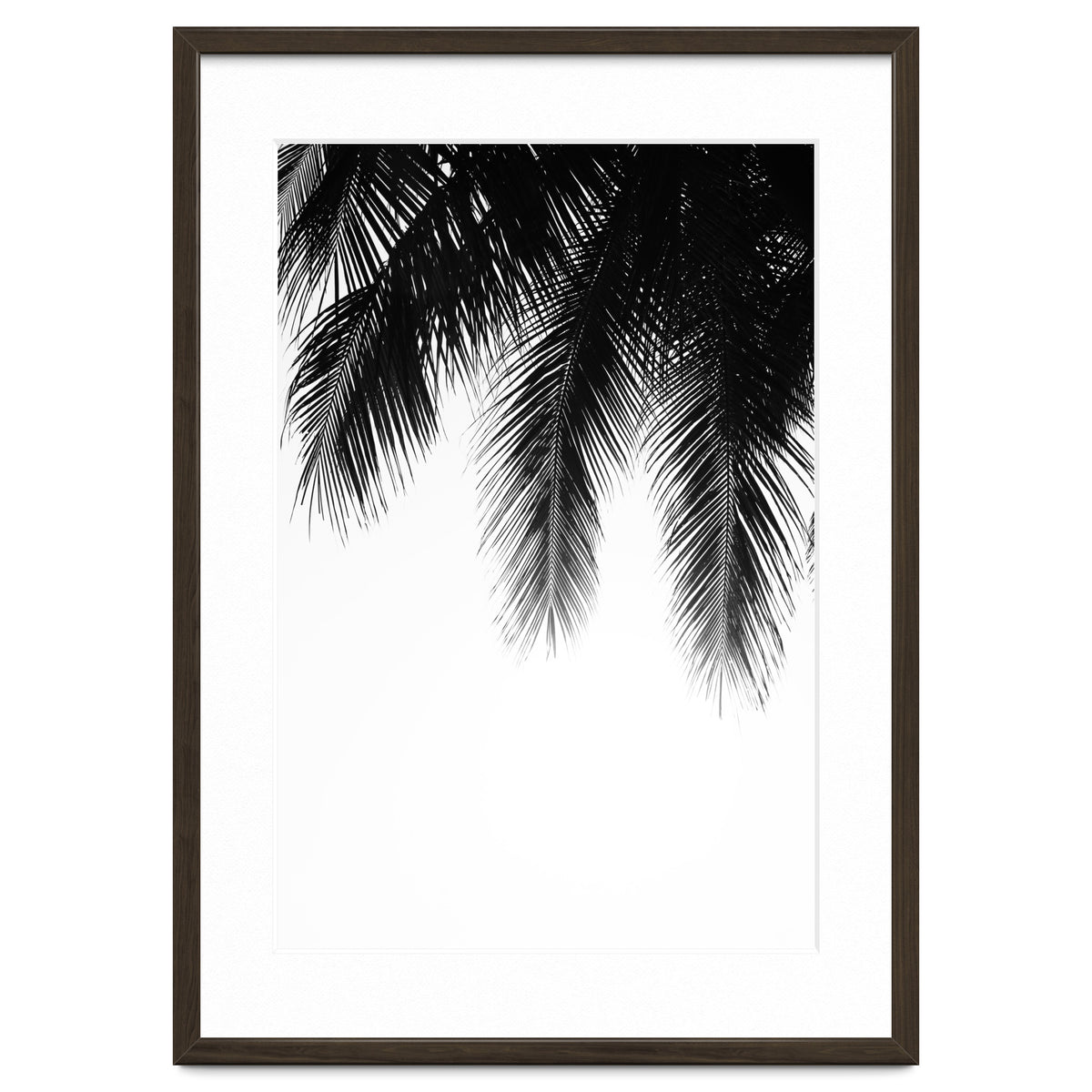 Palm leaves