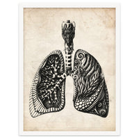 Lungs Anatomy