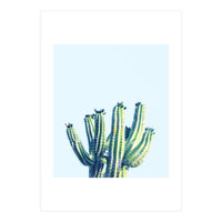 Cactus (Print Only)