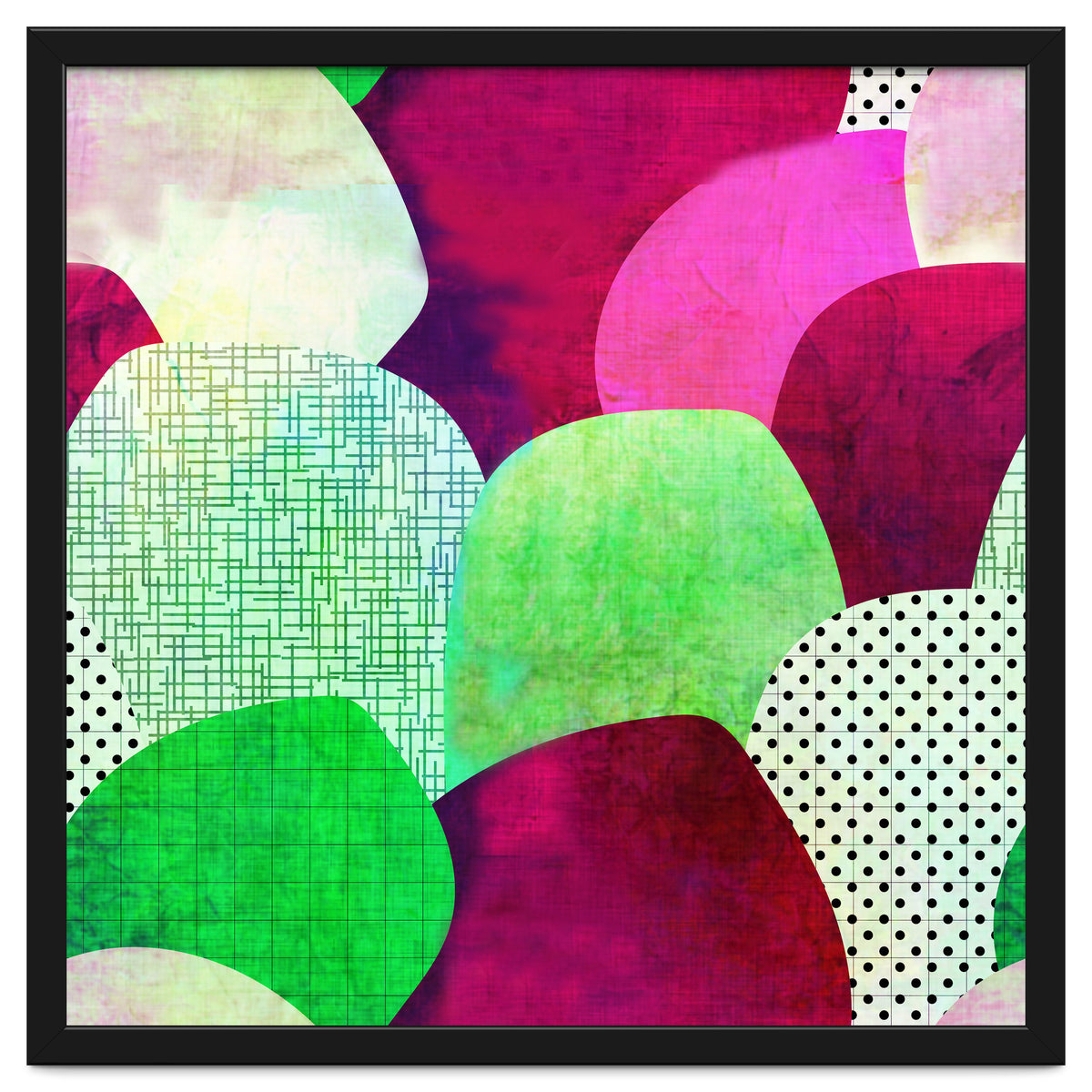 Opala Circles are the new triangles purple