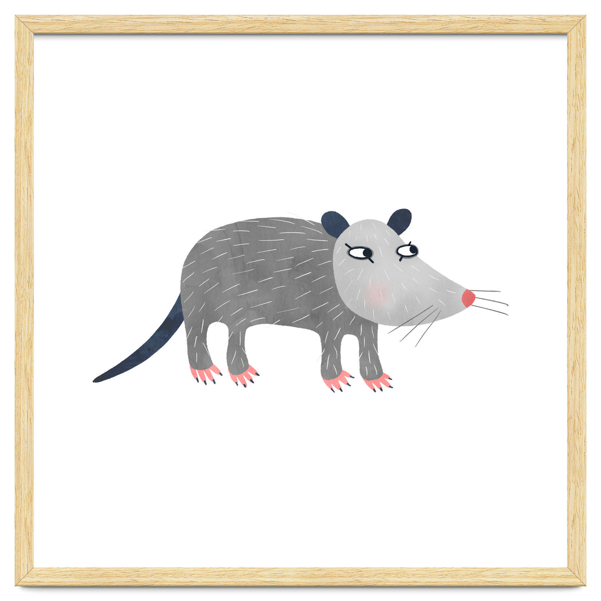 Possum