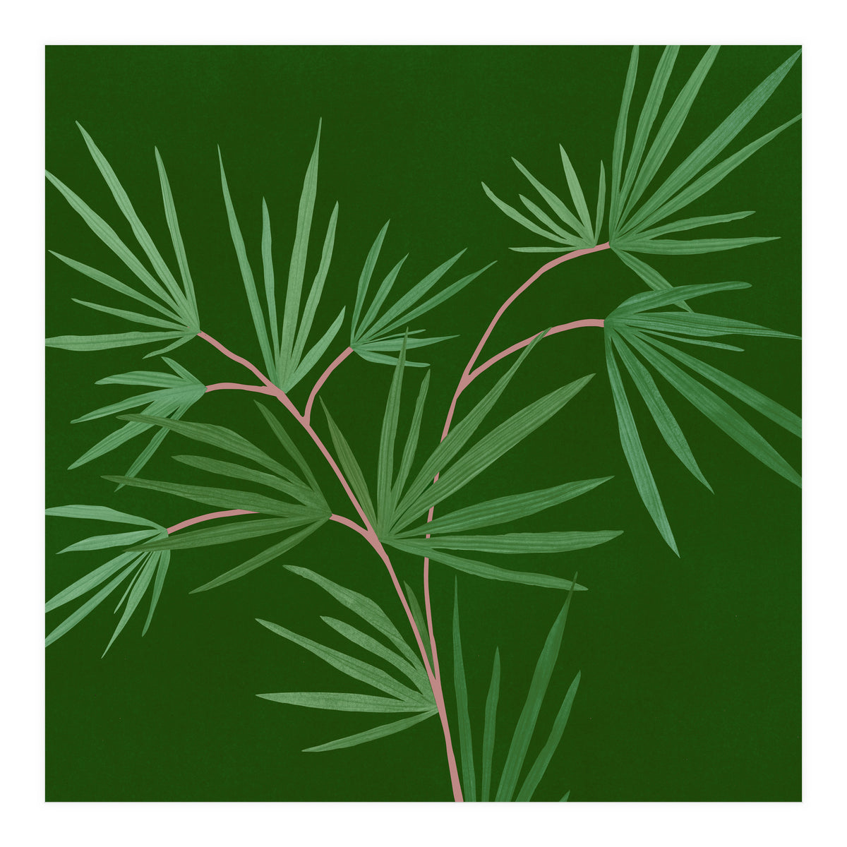 Abstract Palm (Print Only)