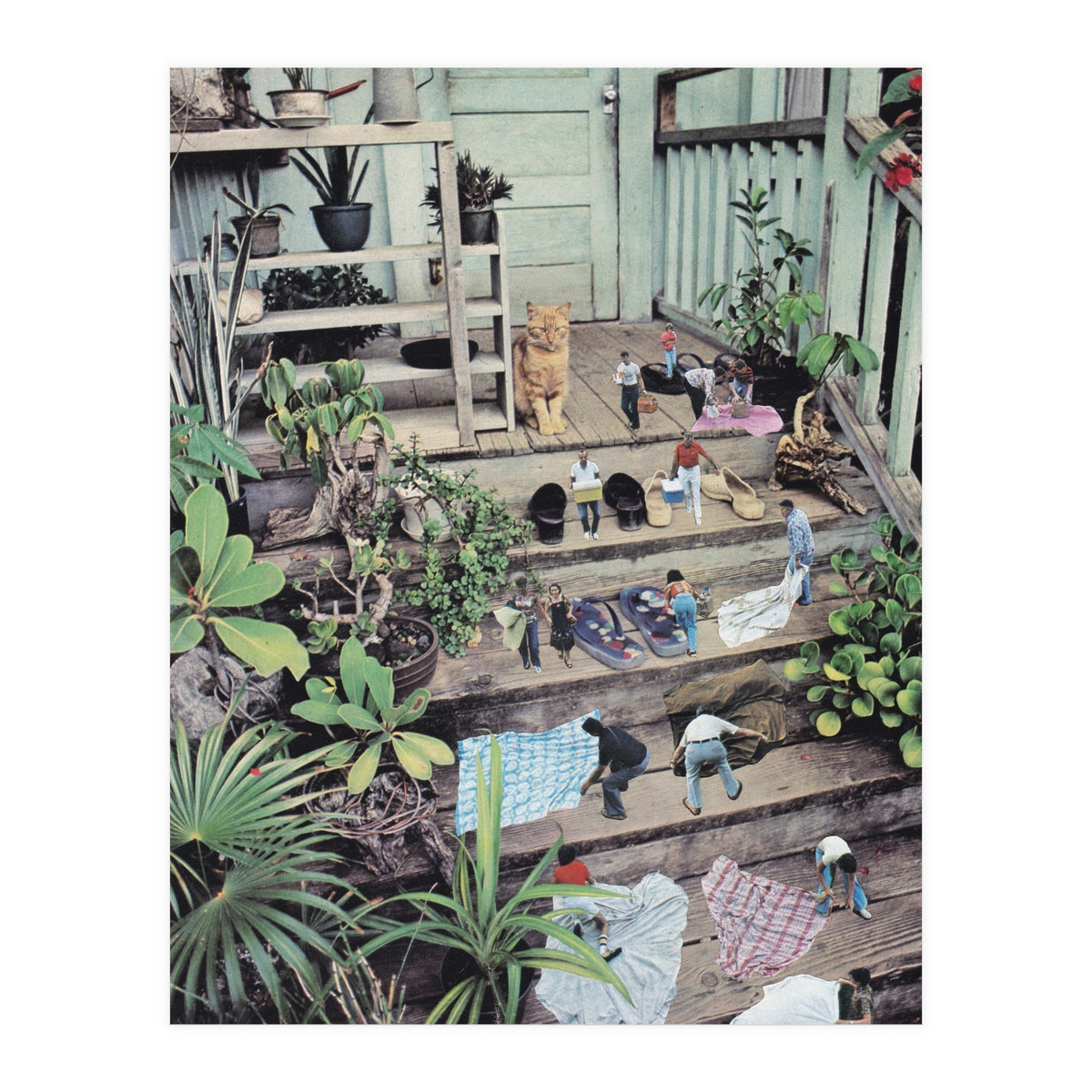 Big Cat (Print Only)