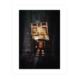 VooDooTooL - Goga (Print Only) thumbnail