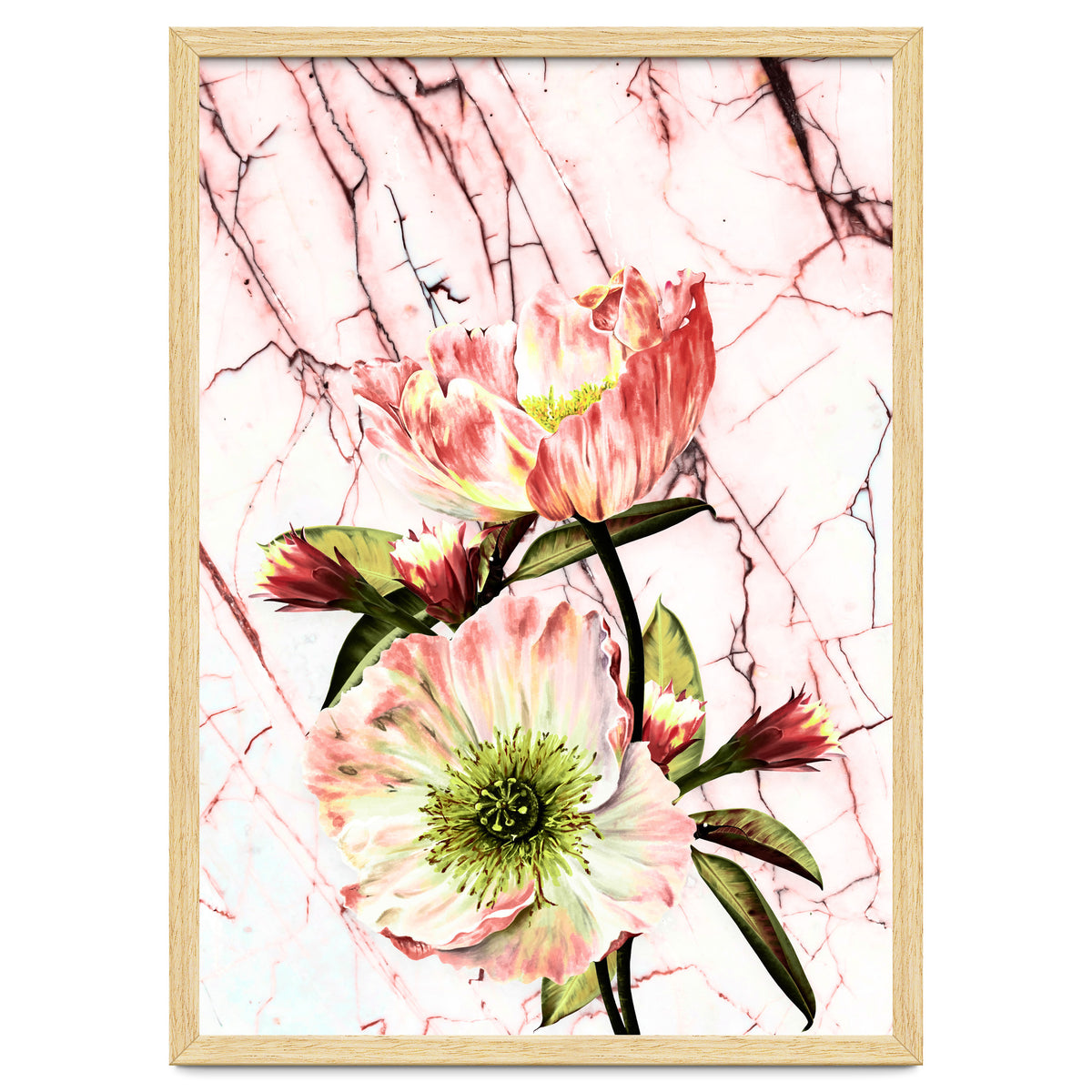 Flowering on pink marble