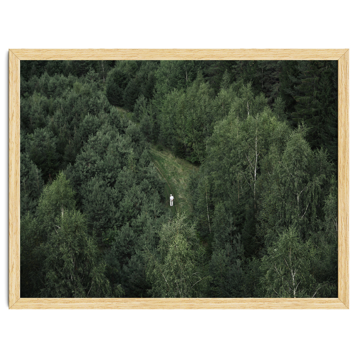 What's the Date Today?