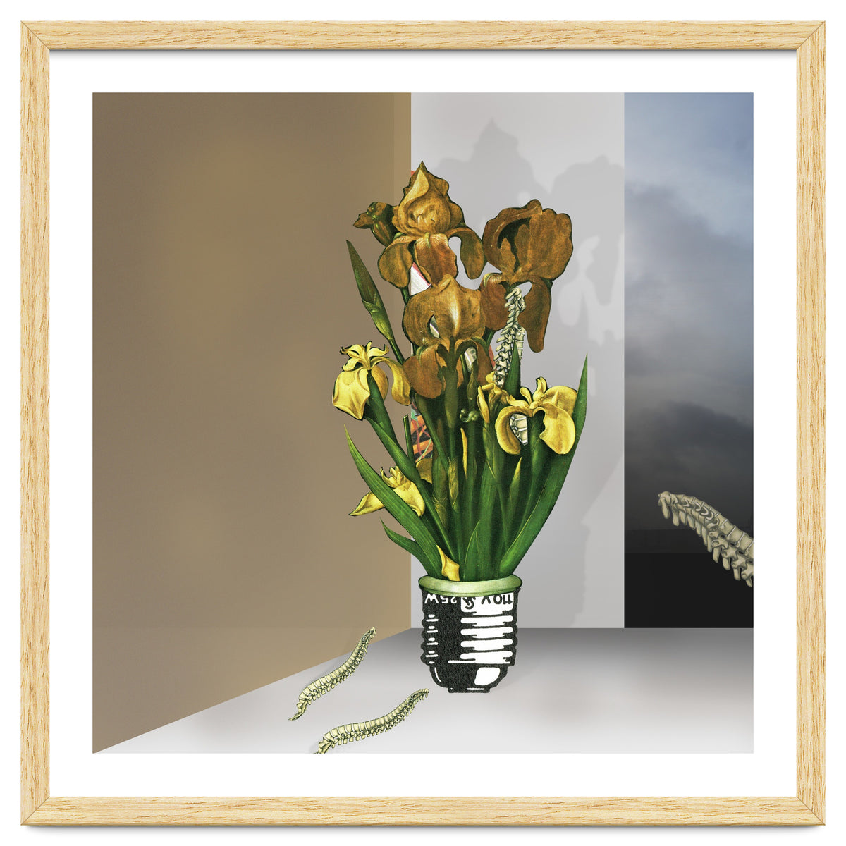 Das Licht Der Pflanze