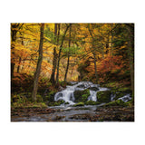 Selkewaterfal (Print Only) thumbnail