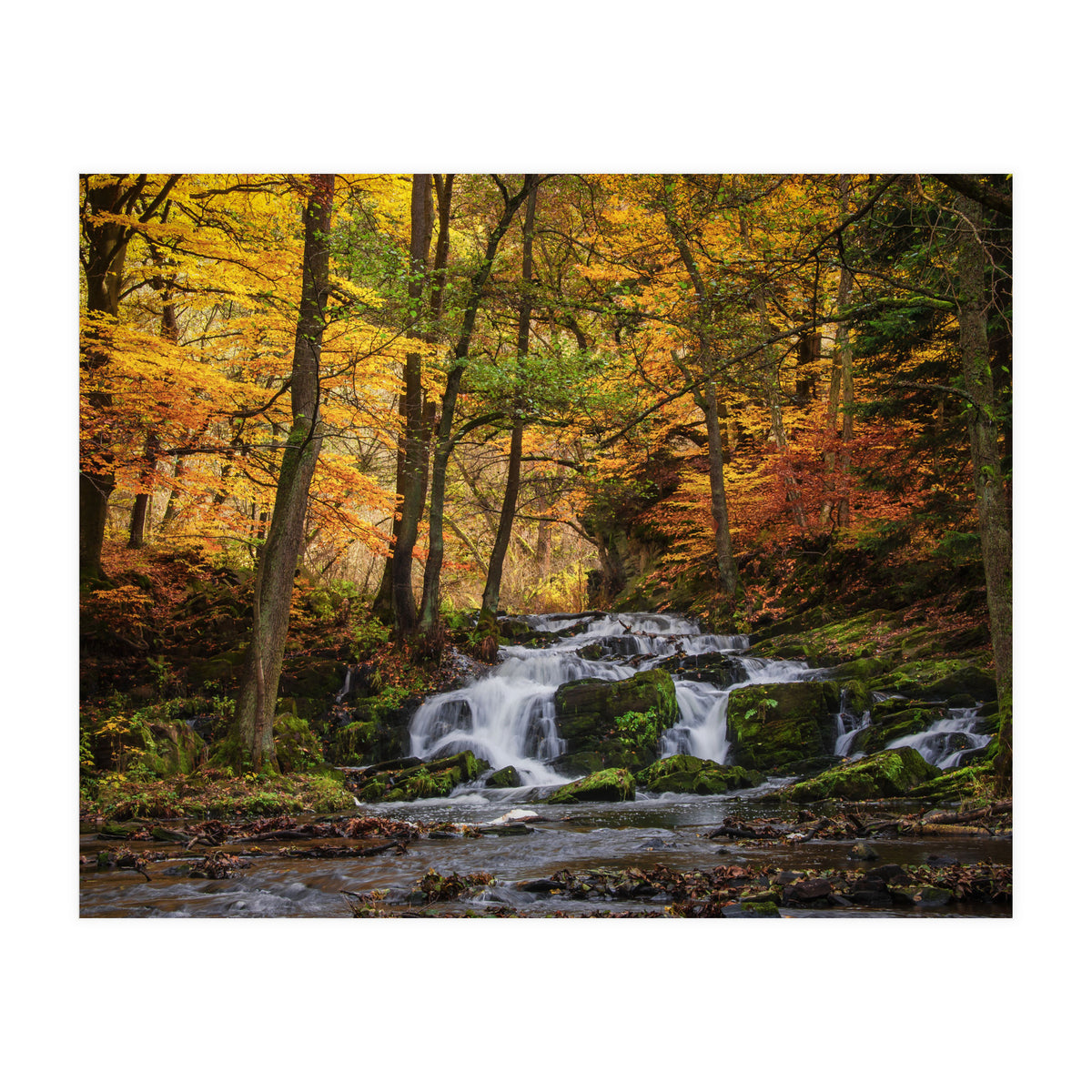 Selkewaterfal (Print Only)