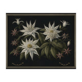 Edelweiss Vintage Illustration (Print Only) thumbnail