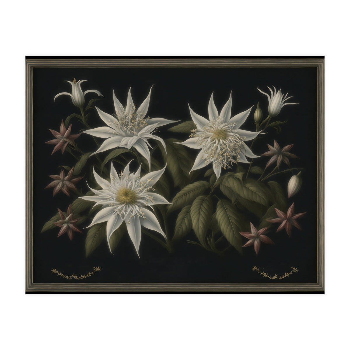 Edelweiss Vintage Illustration (Print Only)