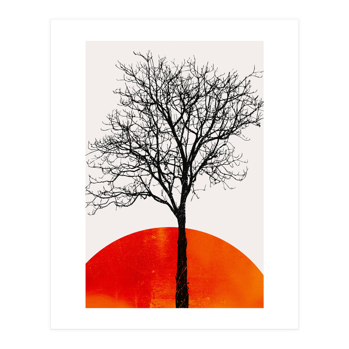 The Birch 3 (Print Only)