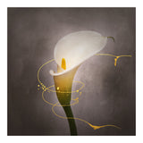 Graceful flower - Calla No. 4 | vintage style gold (Print Only) thumbnail