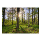 Spring Sun (Print Only) thumbnail