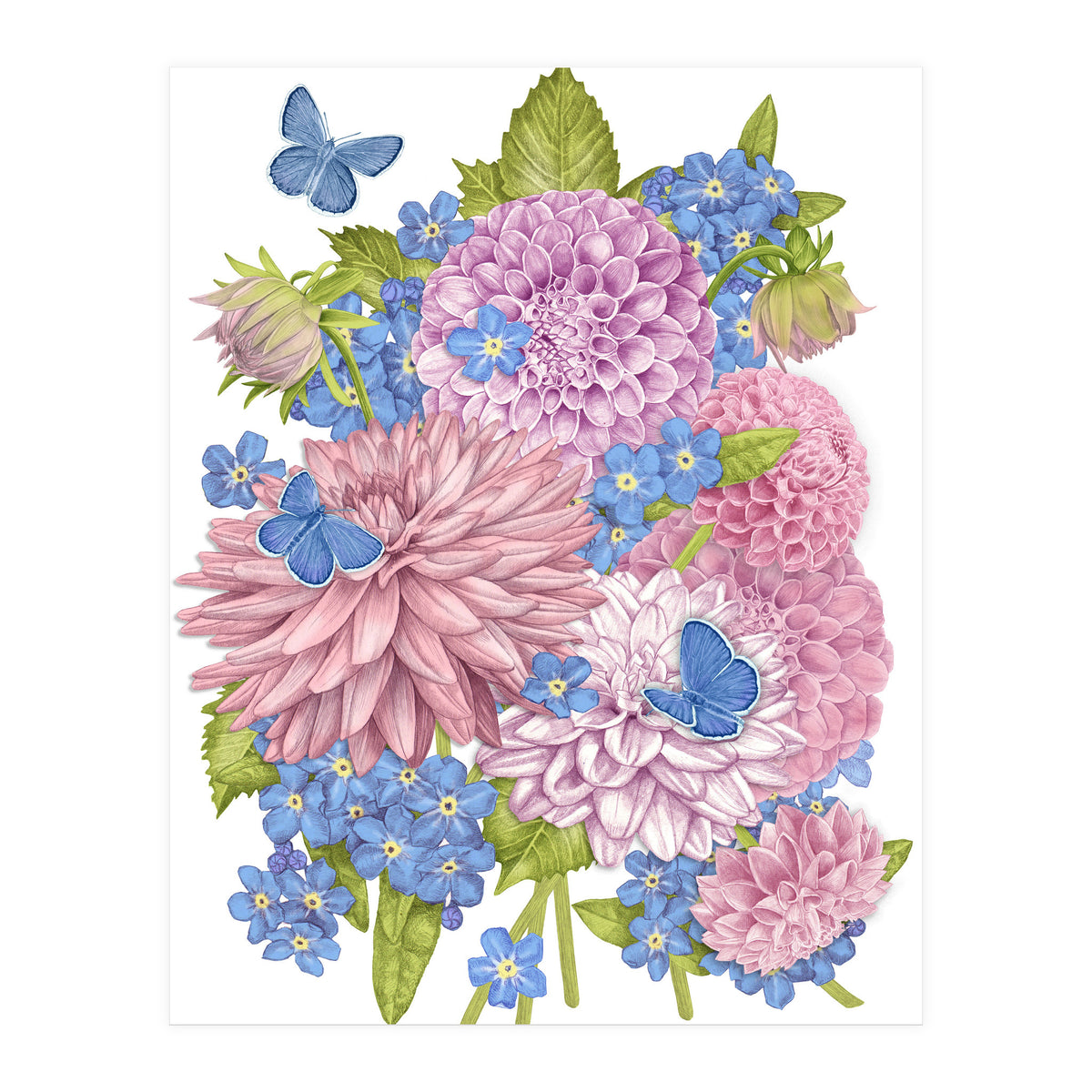 Pink Flowers and Butterflies (Print Only)