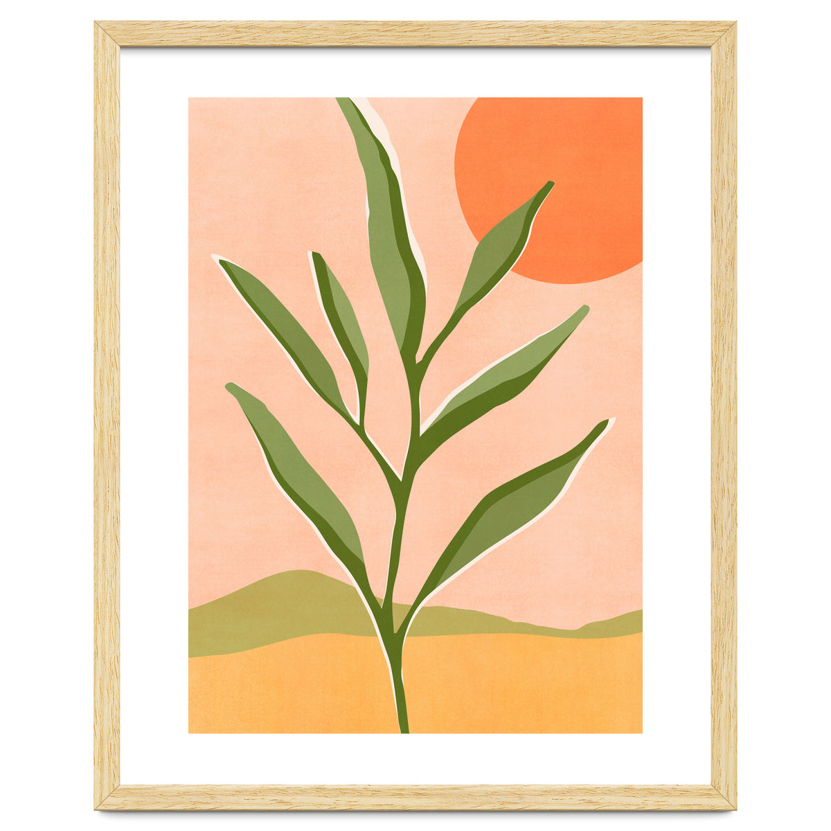 The Sun and The Succulent