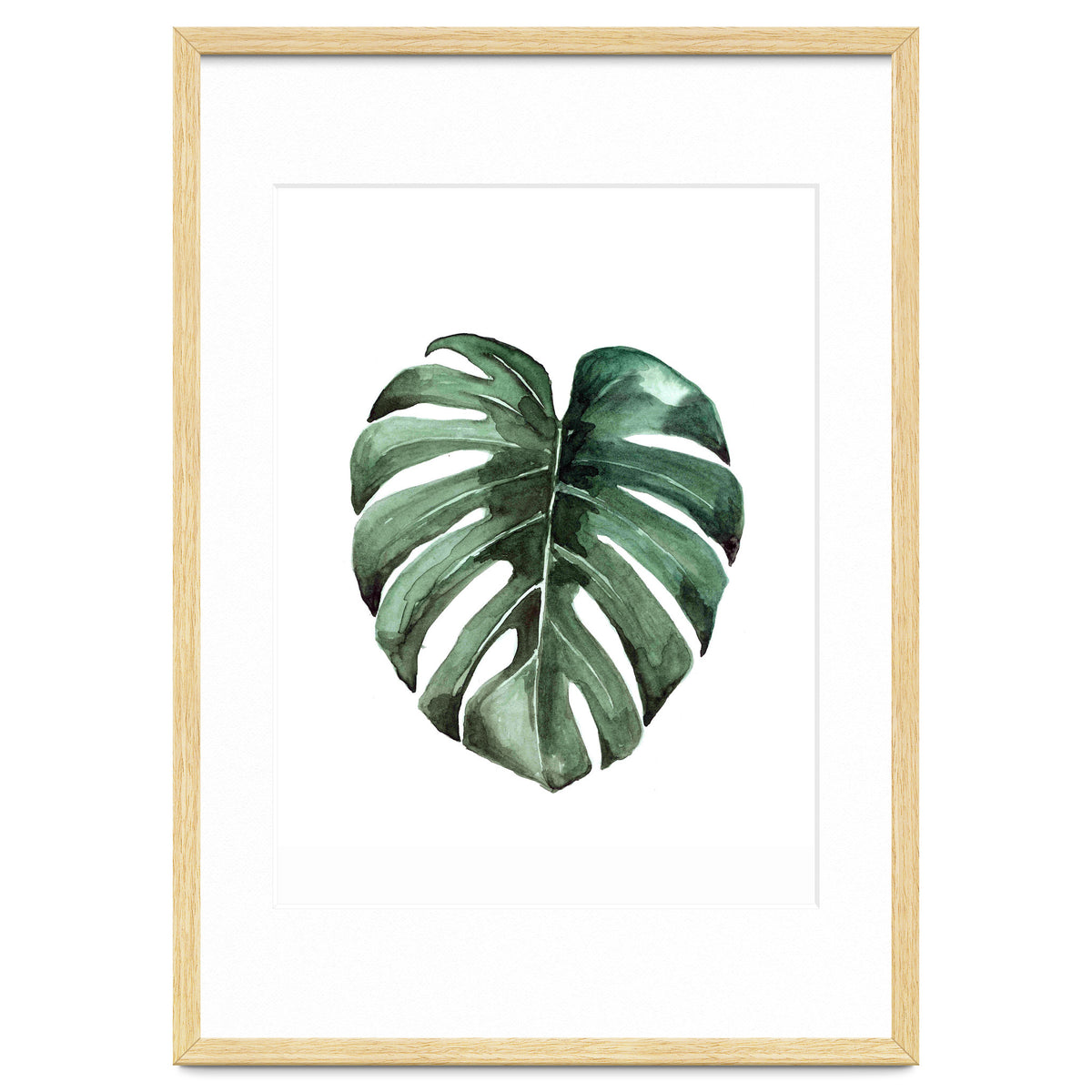 Botanical Illustration Monstera Deliciosa