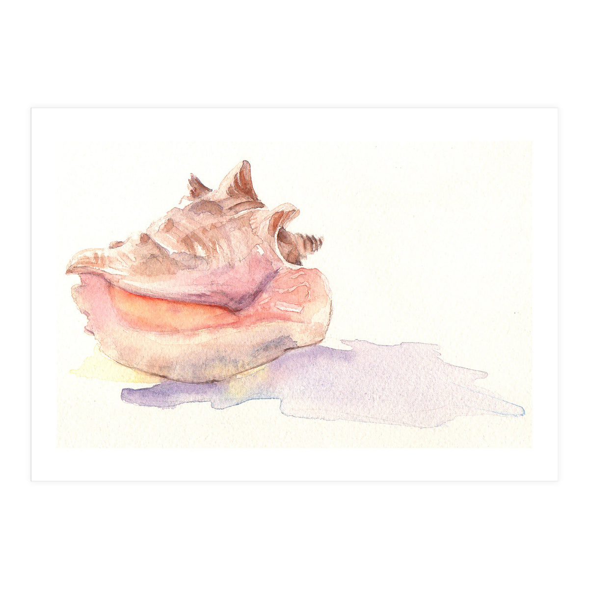 Conch Shell (Print Only)