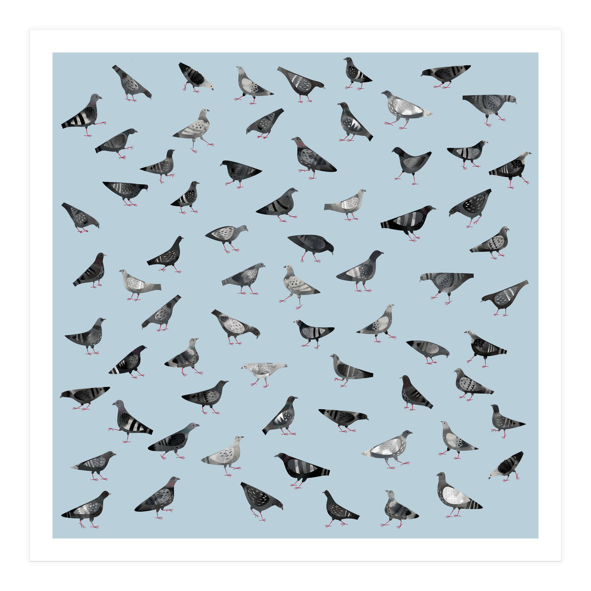 Pigeons Doing Pigeon Things (Print Only)
