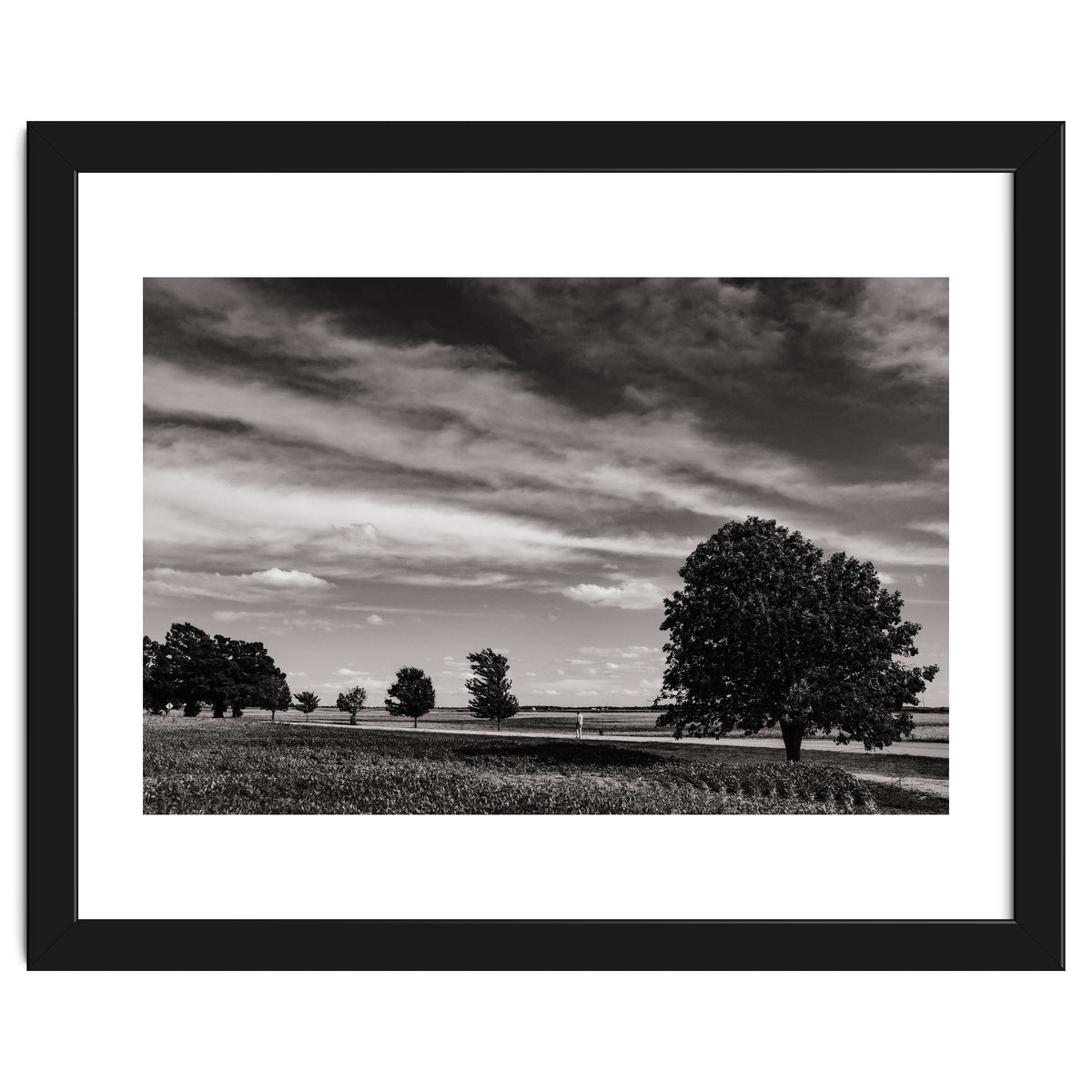 Country Road, Illinois