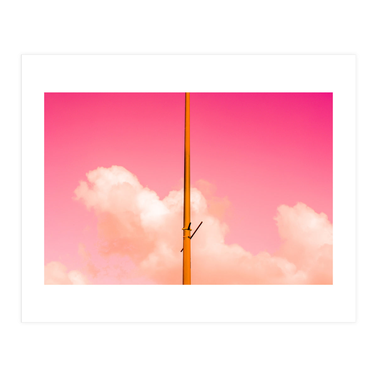 The Pink Half (Print Only)