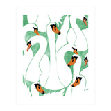 White Calm Was Born Into A Swan (Print Only) thumbnail
