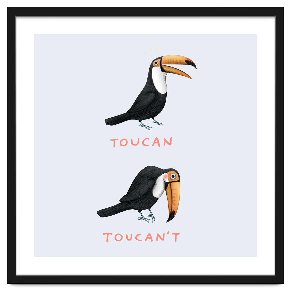 Toucan Toucan't