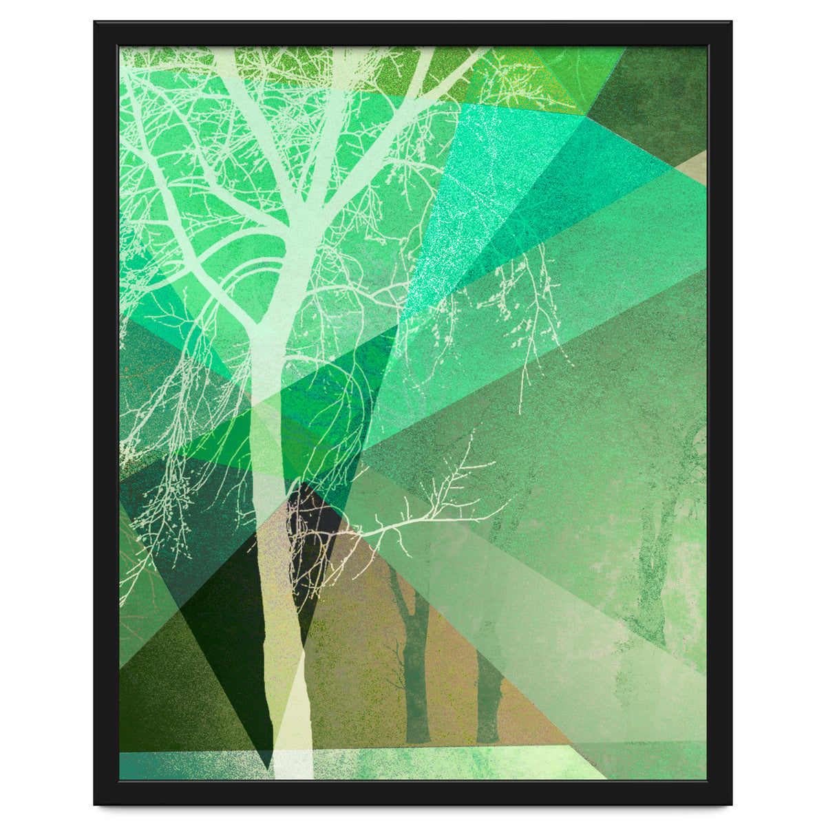 P22 B Trees And Triangles