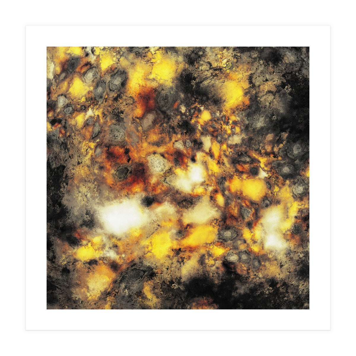 Embers (Print Only)
