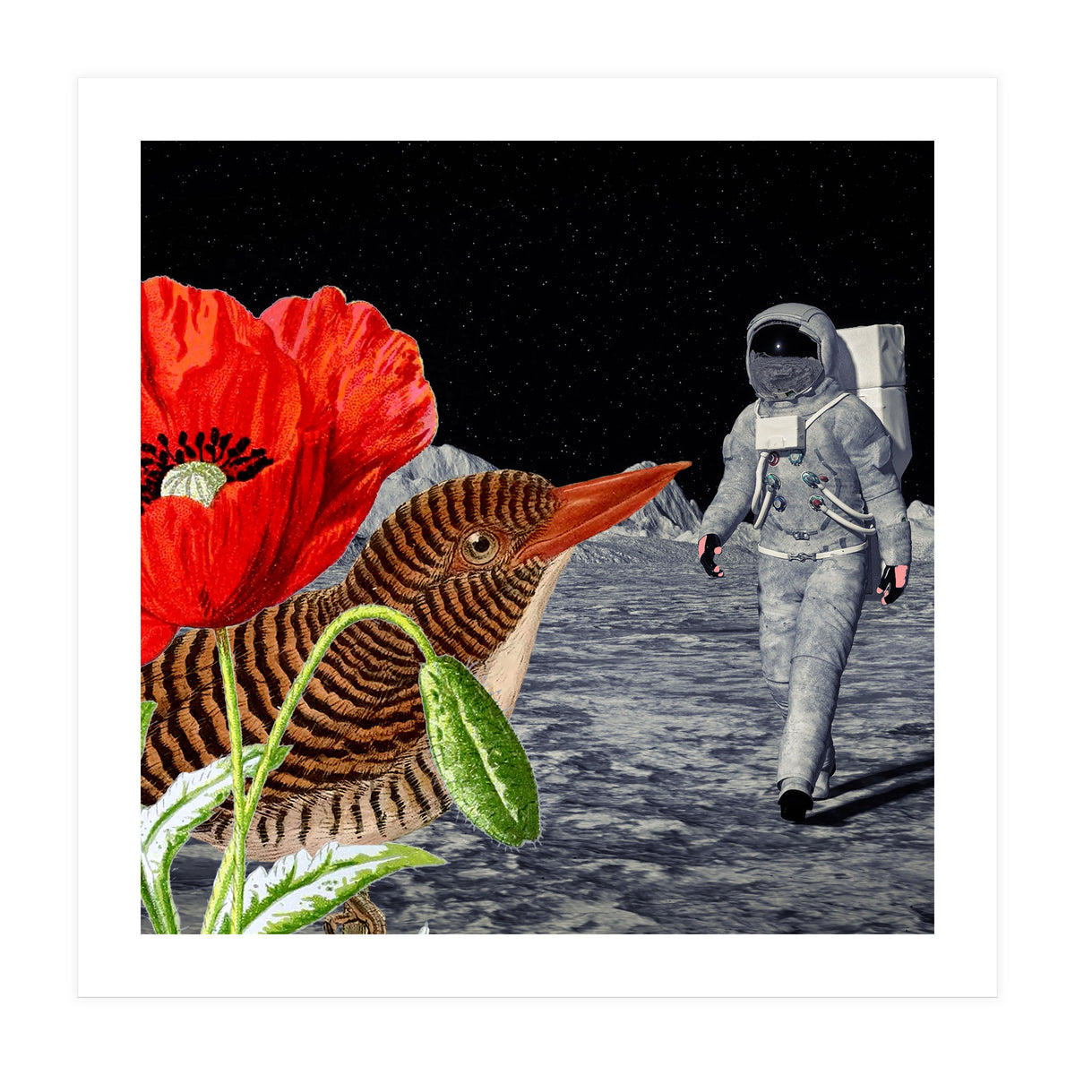 Bird On The Moon  (Print Only)