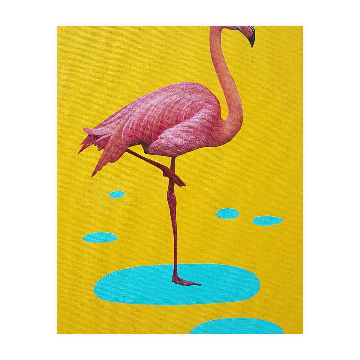 Flamingo (Print Only)