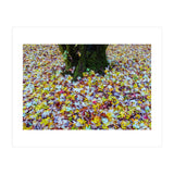 Autumn Leaves (Print Only) thumbnail