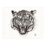 Tiger (Print Only) thumbnail