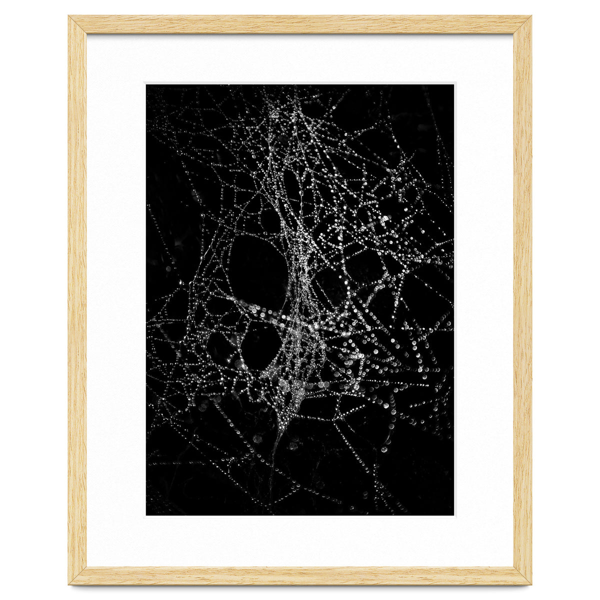 Spiderweb No 4