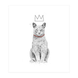 King Of Everything (bw) (Print Only) thumbnail