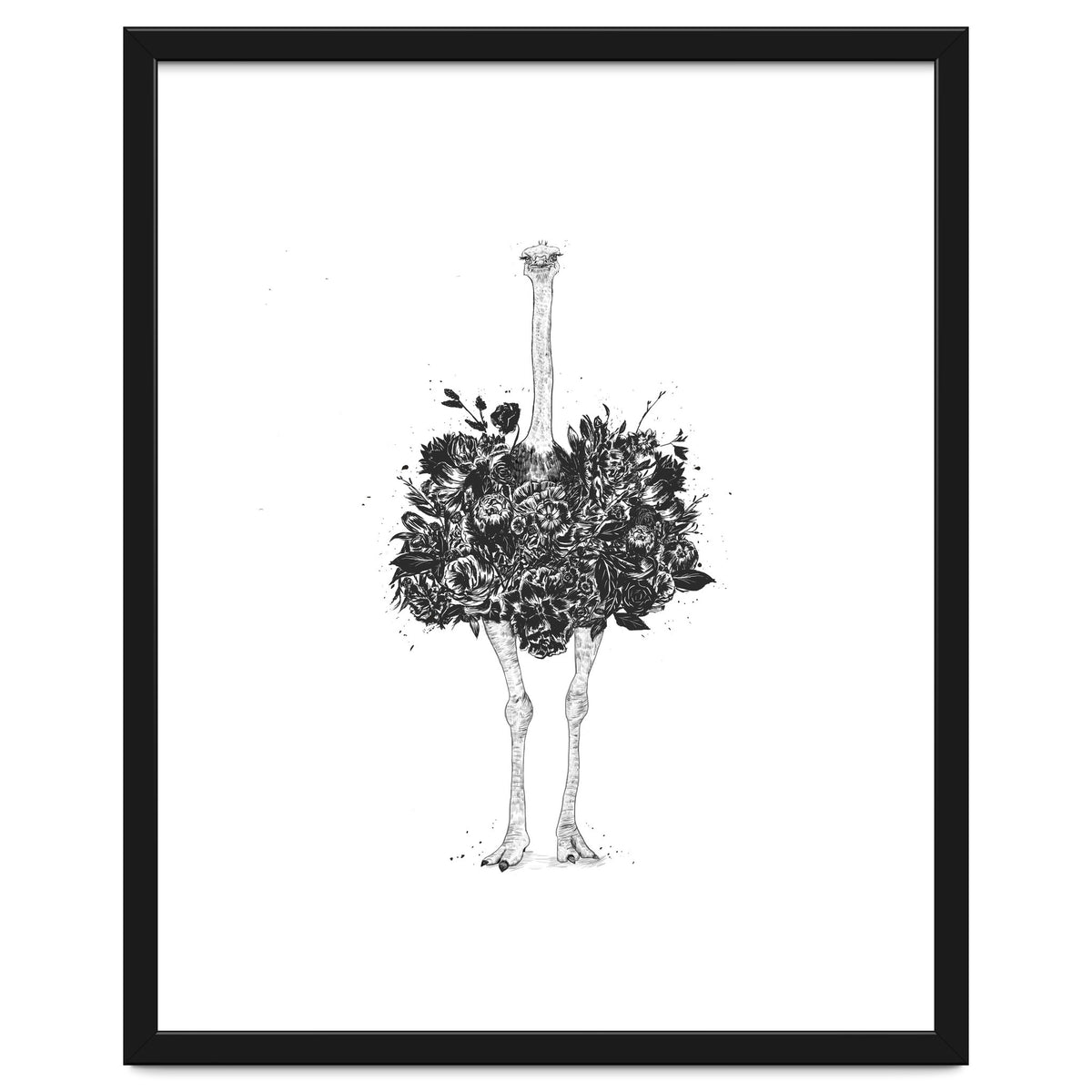 Floral Ostrich